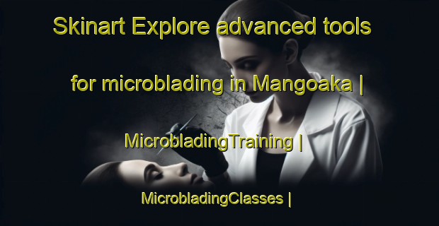 Skinart Explore advanced tools for microblading in Mangoaka | MicrobladingTraining | MicrobladingClasses | SkinartTraining-Madagascar